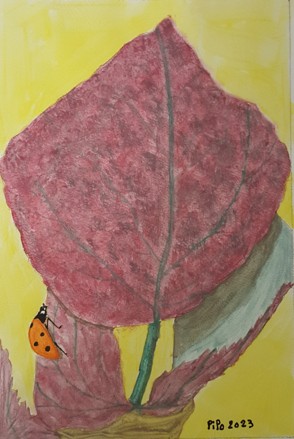 Coccinelle et feuilles